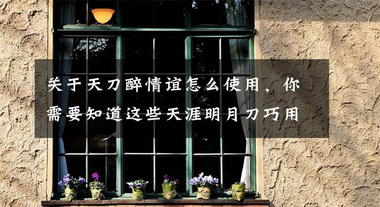 關(guān)于天刀醉情誼怎么使用，你需要知道這些天涯明月刀巧用回流練小號 嘗試不同門派