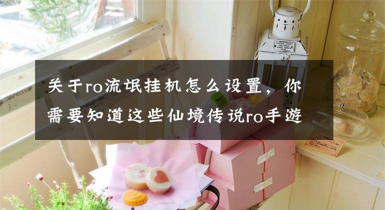 關于ro流氓掛機怎么設置，你需要知道這些仙境傳說ro手游怎么掛機殺怪多 掛機殺怪攻略