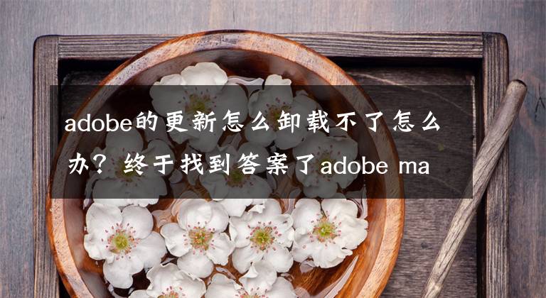 adobe的更新怎么卸載不了怎么辦？終于找到答案了adobe mac 怎么卸載 如何卸載干凈adobe mac