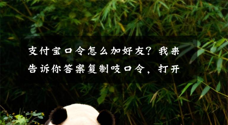 支付寶口令怎么加好友？我來告訴你答案復(fù)制吱口令，打開支付寶搜索，即可添加我為好友lG8AJ8X65jg