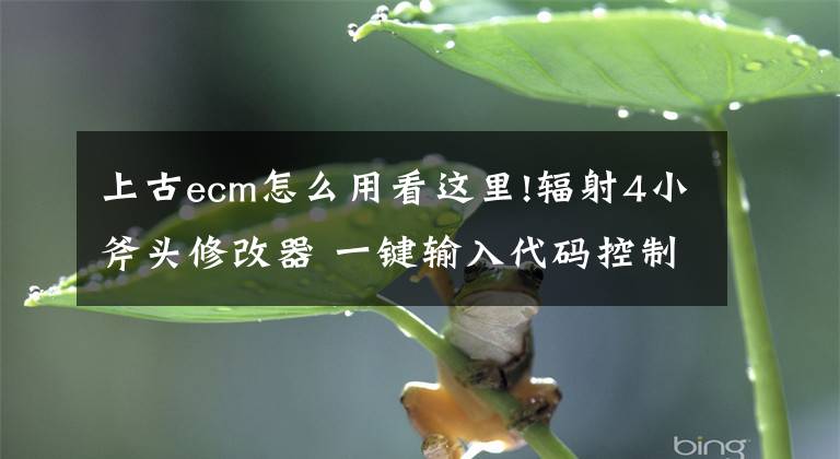 上古ecm怎么用看這里!輻射4小斧頭修改器 一鍵輸入代碼控制臺(tái) 附全部代碼