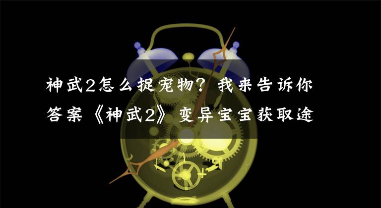 神武2怎么捉寵物？我來(lái)告訴你答案《神武2》變異寶寶獲取途徑 看臉的時(shí)刻