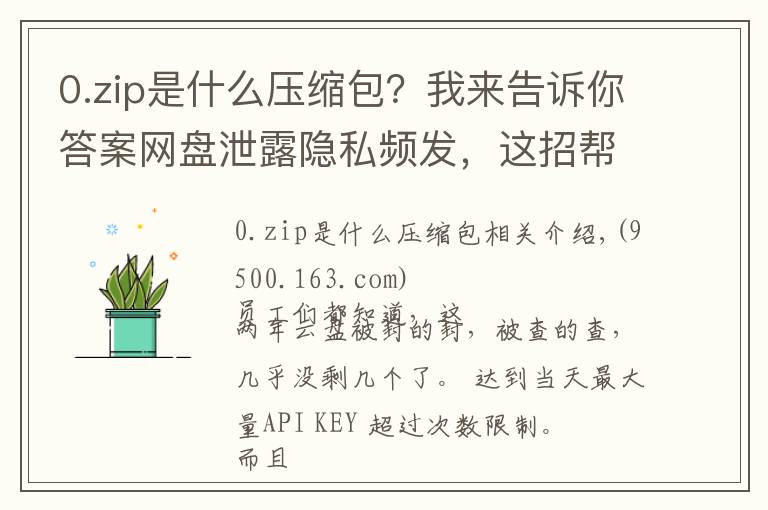 0.zip是什么壓縮包？我來告訴你答案網盤泄露隱私頻發(fā)，這招幫你永久安全保存照片資料！