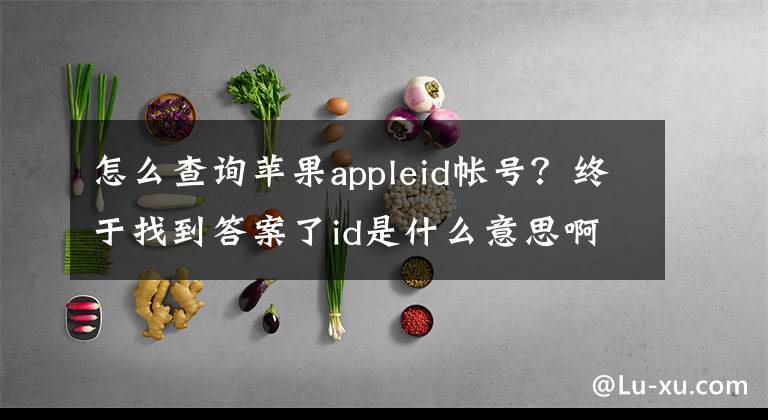 怎么查詢蘋果appleid帳號(hào)？終于找到答案了id是什么意思??？全面認(rèn)識(shí)和使用蘋果ID