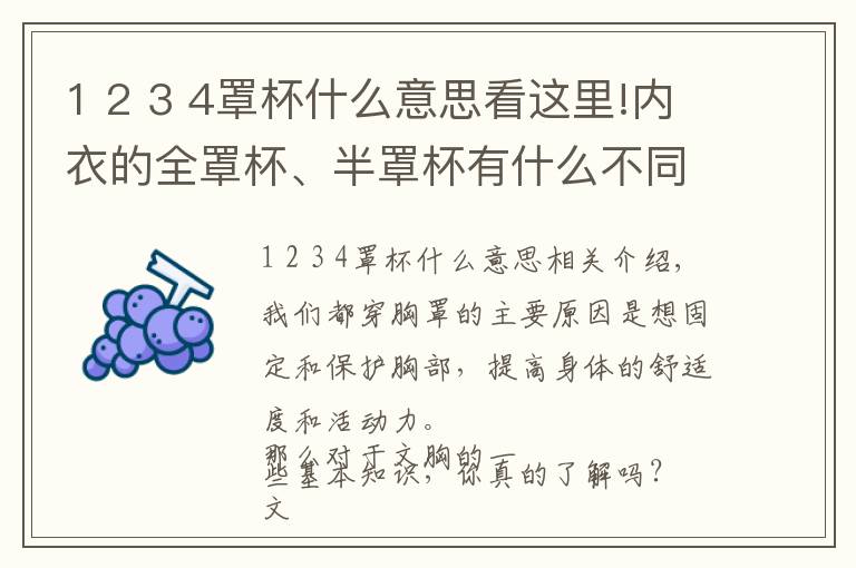 1 2 3 4罩杯什么意思看這里!內(nèi)衣的全罩杯、半罩杯有什么不同？這些你都知道嗎？