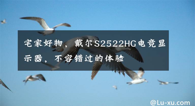 宅家好物，戴爾S2522HG電競顯示器，不容錯過的體驗