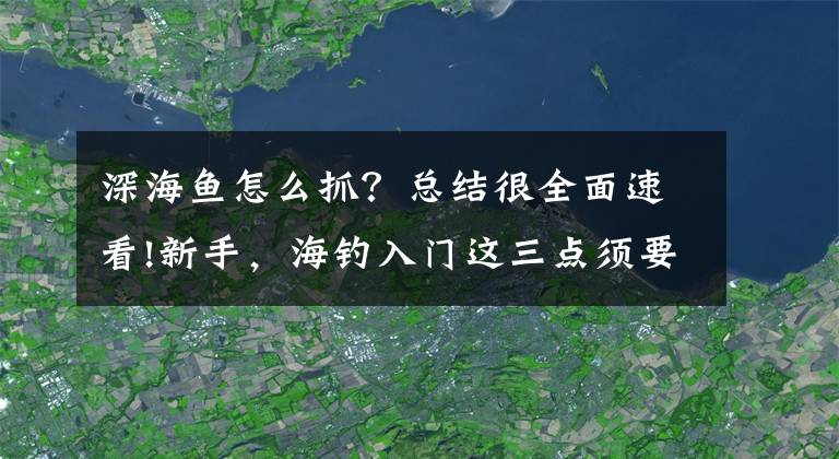 深海魚怎么抓？總結(jié)很全面速看!新手，海釣入門這三點(diǎn)須要知道