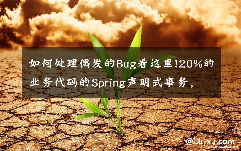 如何處理偶發(fā)的Bug看這里!20%的業(yè)務(wù)代碼的Spring聲明式事務(wù)，可能都沒處理正確