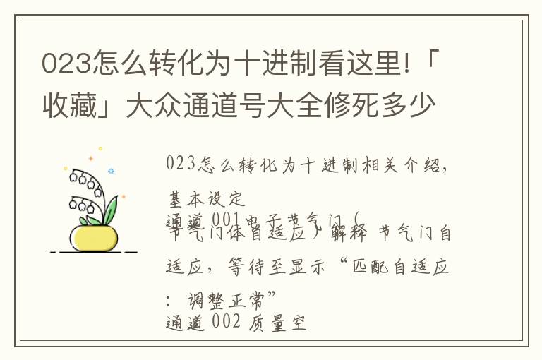 023怎么轉(zhuǎn)化為十進制看這里!「收藏」大眾通道號大全修死多少修理工，還不趕快收藏轉(zhuǎn)發(fā)