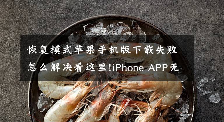 恢復(fù)模式蘋果手機(jī)版下載失敗怎么解決看這里!iPhone APP無法下載該怎么辦