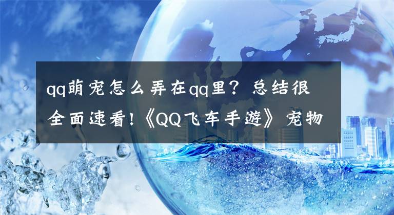 qq萌寵怎么弄在qq里？總結(jié)很全面速看!《QQ飛車手游》寵物怎么獲得 寵物獲得方法介紹