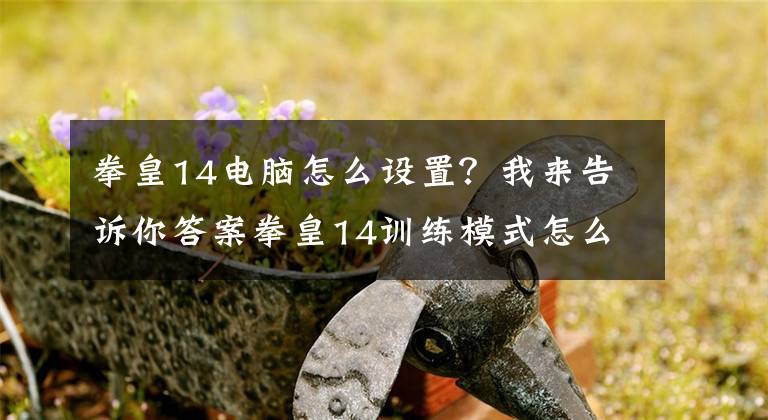 拳皇14電腦怎么設(shè)置？我來告訴你答案拳皇14訓(xùn)練模式怎么設(shè)置無限氣 拳皇14訓(xùn)練模式無限氣設(shè)置方法