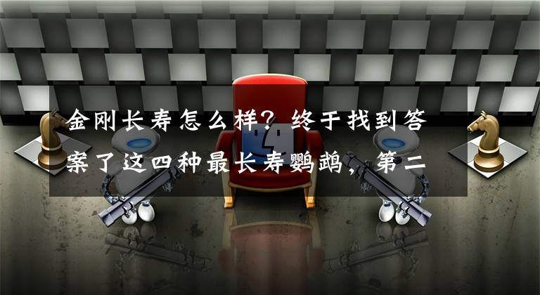 金剛長壽怎么樣？終于找到答案了這四種最長壽鸚鵡，第二金剛鸚鵡第一葵花鸚鵡，誰能陪你走過余生