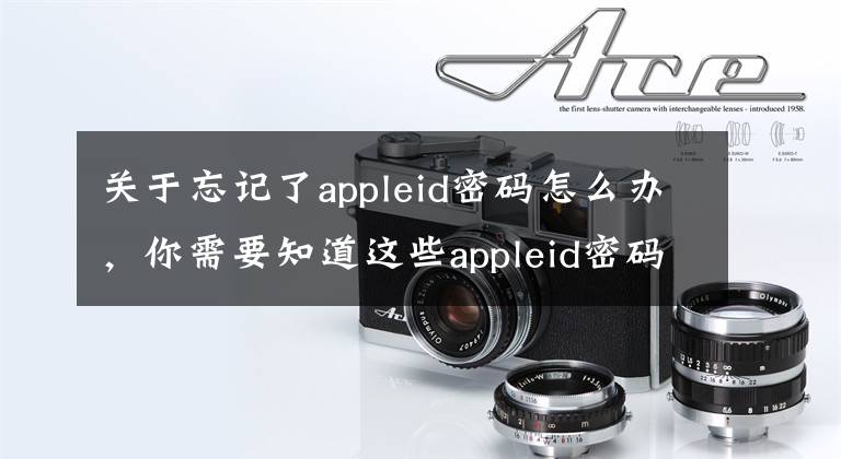 關(guān)于忘記了appleid密碼怎么辦，你需要知道這些appleid密碼忘記怎么辦？教您輕松找回您的id密碼