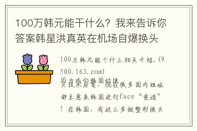 100萬韓元能干什么？我來告訴你答案韓星洪真英在機場自爆換頭史之后，一年能入賬100億韓元？