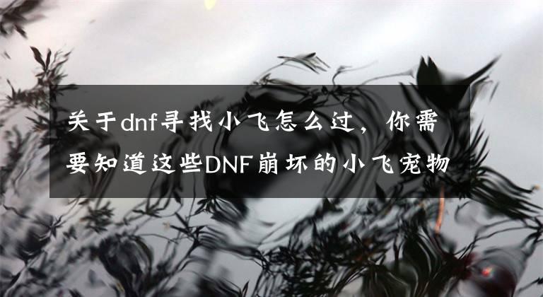 關于dnf尋找小飛怎么過，你需要知道這些DNF崩壞的小飛寵物屬性詳解 DNF崩壞的小飛寵物怎么獲得