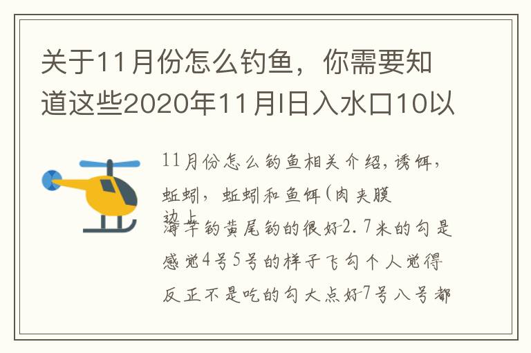 關(guān)于11月份怎么釣魚，你需要知道這些2020年11月I日入水口10以后鯽魚開口