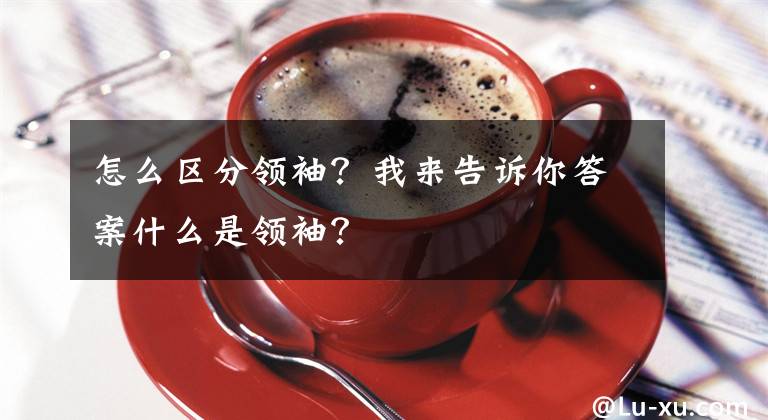 怎么區(qū)分領(lǐng)袖？我來告訴你答案什么是領(lǐng)袖？