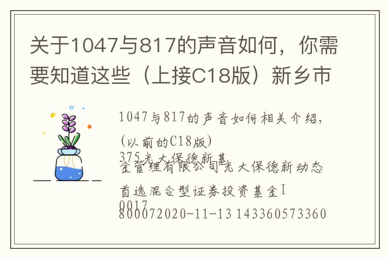 關于1047與817的聲音如何，你需要知道這些（上接C18版）新鄉(xiāng)市瑞豐新材料股份有限公司 首次公開發(fā)行股票并在創(chuàng)業(yè)板上市新股發(fā)行公告（下轉C20版）