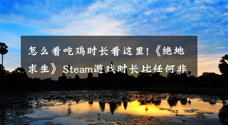 怎么看吃雞時(shí)長(zhǎng)看這里!《絕地求生》Steam游戲時(shí)長(zhǎng)比任何非Valve游戲都多