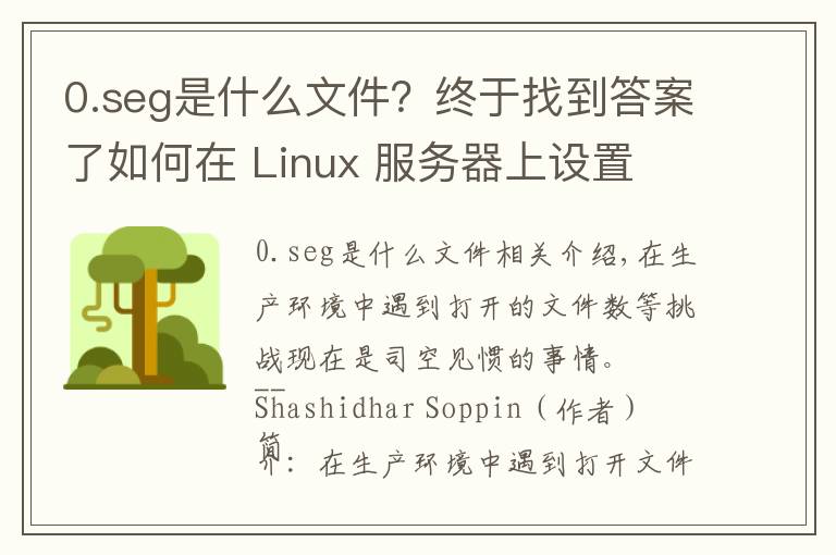 0.seg是什么文件？終于找到答案了如何在 Linux 服務(wù)器上設(shè)置 ulimit 和文件描述符數(shù)限制