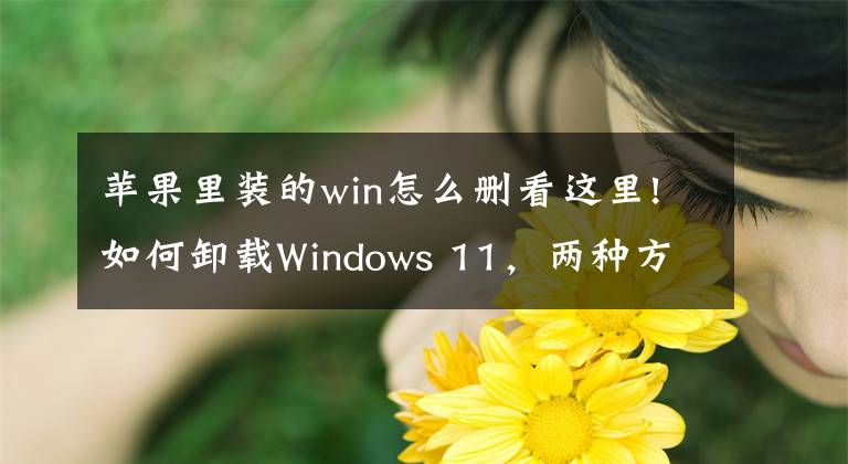 蘋果里裝的win怎么刪看這里!如何卸載Windows 11，兩種方法任你選擇