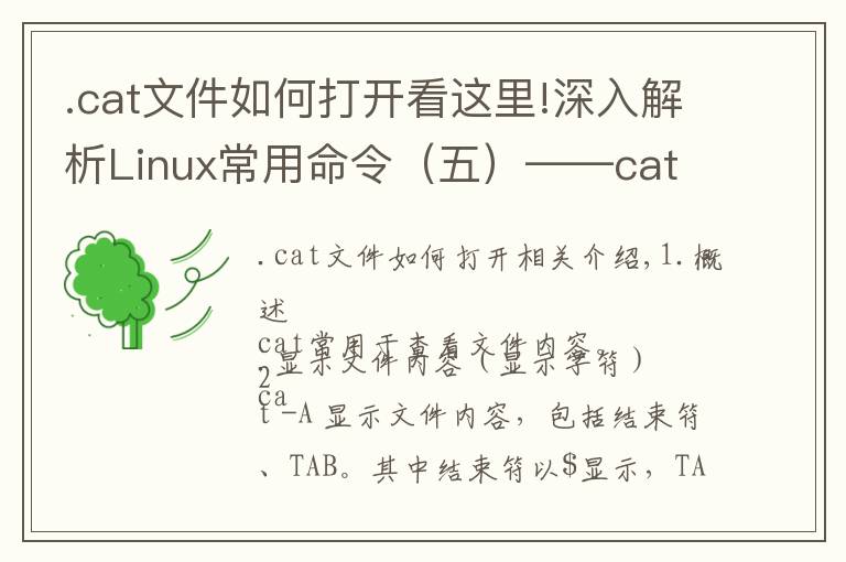 .cat文件如何打開(kāi)看這里!深入解析Linux常用命令（五）——cat