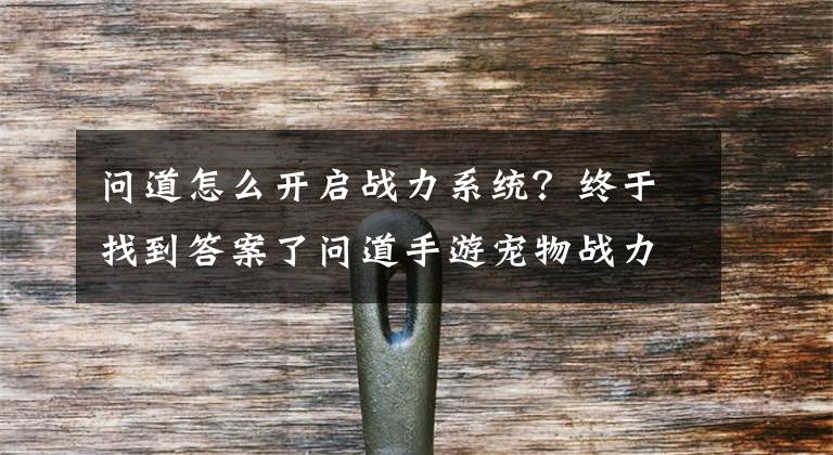 問道怎么開啟戰(zhàn)力系統(tǒng)？終于找到答案了問道手游寵物戰(zhàn)力怎么提升 快速提升寵物戰(zhàn)力方法