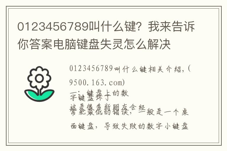 0123456789叫什么鍵？我來告訴你答案電腦鍵盤失靈怎么解決