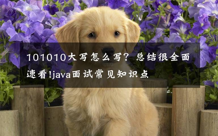 101010大寫怎么寫？總結很全面速看!java面試常見知識點