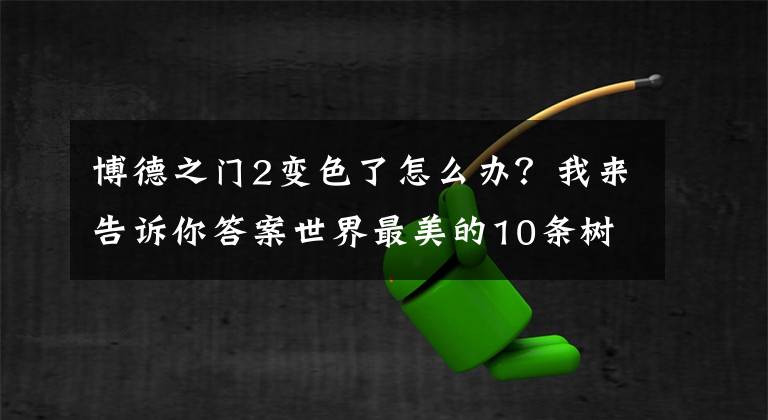 博德之門2變色了怎么辦？我來告訴你答案世界最美的10條樹隧道，美國有4條，中國有一條