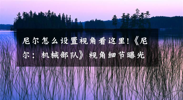 尼爾怎么設置視角看這里!《尼爾：機械部隊》視角細節(jié)曝光 三種模式可選