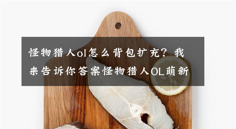 怪物獵人ol怎么背包擴(kuò)充？我來(lái)告訴你答案怪物獵人OL萌新攻略 游戲玩法介紹篇