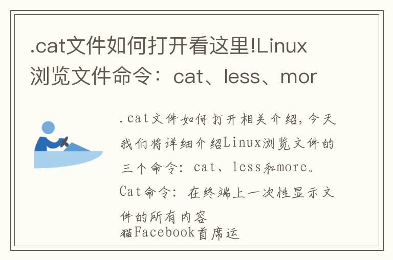 .cat文件如何打開看這里!Linux瀏覽文件命令：cat、less、more詳解