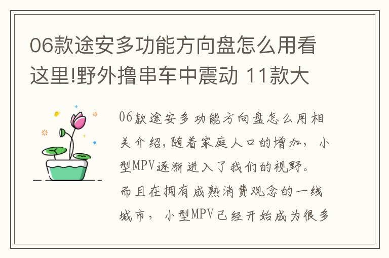 06款途安多功能方向盤怎么用看這里!野外擼串車中震動 11款大眾途安無所不能