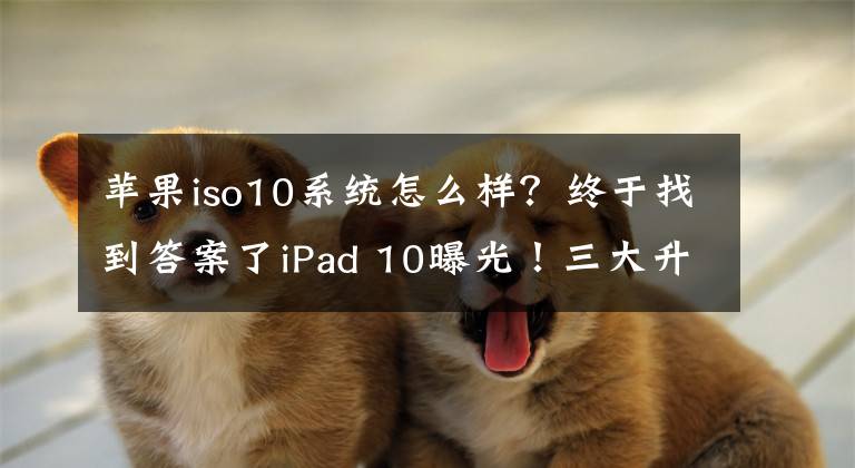 蘋果iso10系統(tǒng)怎么樣？終于找到答案了iPad 10曝光！三大升級(jí)讓用戶心動(dòng)