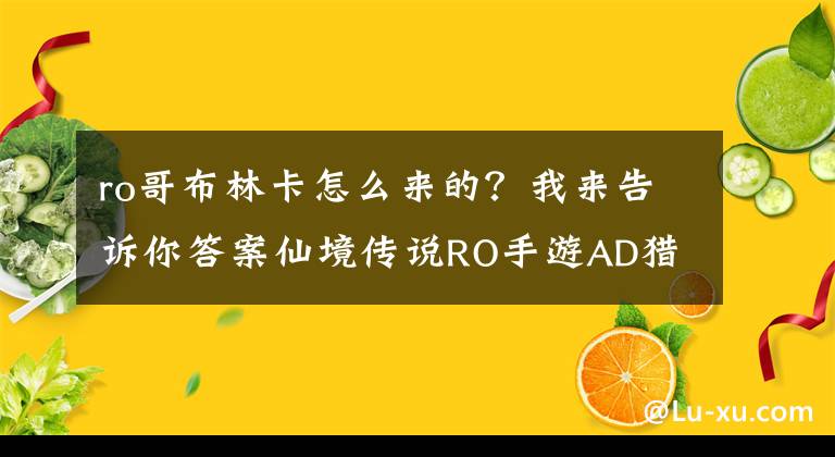 ro哥布林卡怎么來的？我來告訴你答案仙境傳說RO手游AD獵人50級掛機升級加點簡單心得