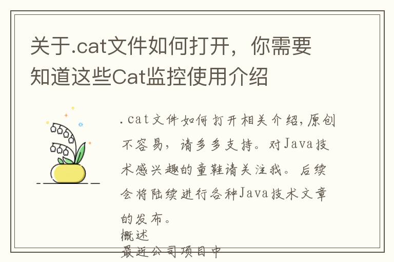 關于.cat文件如何打開，你需要知道這些Cat監(jiān)控使用介紹