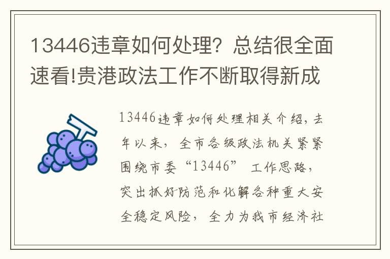 13446違章如何處理？總結(jié)很全面速看!貴港政法工作不斷取得新成績