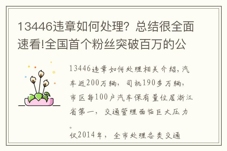 13446違章如何處理？總結很全面速看!全國首個粉絲突破百萬的公安政務微信平臺，你知道是誰么？