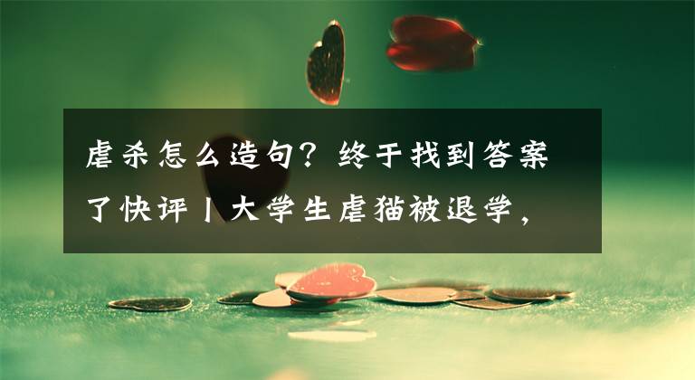 虐殺怎么造句？終于找到答案了快評(píng)丨大學(xué)生虐貓被退學(xué)，不是一個(gè)人的悲劇