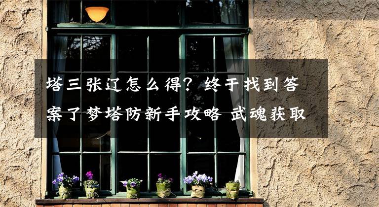 塔三張遼怎么得？終于找到答案了夢塔防新手攻略 武魂獲取途徑解析