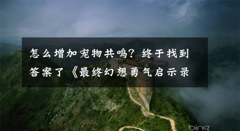 怎么增加寵物共鳴？終于找到答案了《最終幻想勇氣啟示錄 幻影戰(zhàn)爭》戰(zhàn)力提升教程