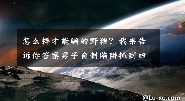 怎么樣才能騙的野豬？我來告訴你答案男子自制陷阱抓到四頭野豬，狗狗這下瘋狂了