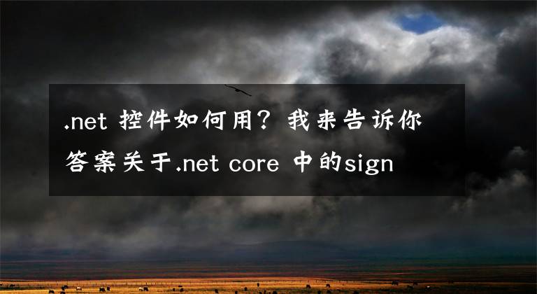 .net 控件如何用？我來告訴你答案關(guān)于.net core 中的signalR組件的使用