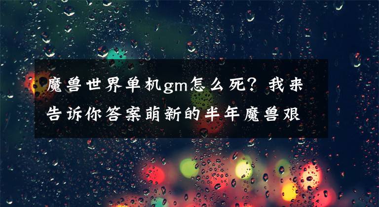 魔獸世界單機gm怎么死？我來告訴你答案萌新的半年魔獸艱辛路，獨自單機了半年，卻慢慢愛上了這個游戲