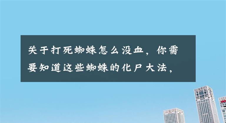 關(guān)于打死蜘蛛怎么沒血，你需要知道這些蜘蛛的化尸大法，神奇的體外消化（蜘蛛趣談1）