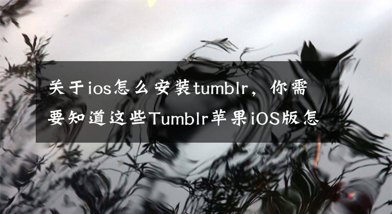 關(guān)于ios怎么安裝tumblr，你需要知道這些Tumblr蘋果iOS版怎么沒了 湯不熱為什么被下架原因猜測(cè)