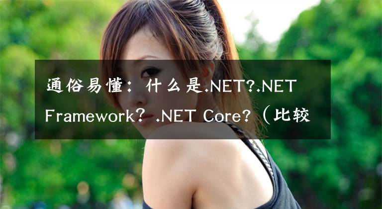 通俗易懂：什么是.NET?.NET Framework？.NET Core?（比較全面）