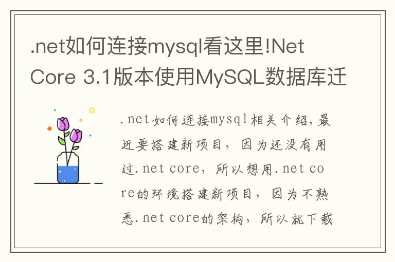 .net如何連接mysql看這里!Net Core 3.1版本使用MySQL數(shù)據(jù)庫遷移啟動(dòng)模板項(xiàng)目